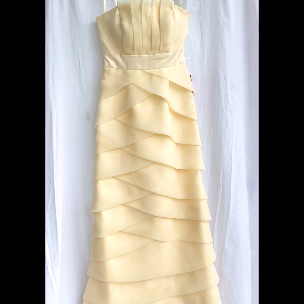 Max and Cleo  ivory/ cream organza long tiered dress.  Size 2 - Picture 3 of 15